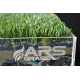 Artificial Turf