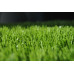 Aizonia Turf
