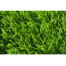 Aizonia Turf