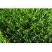 Aizonia Turf