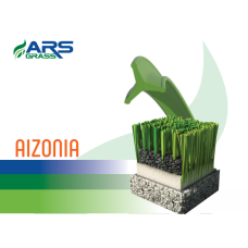 Aizonia Turf